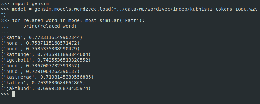 querying a word embedding model