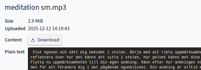 Mink audio source view with plain text